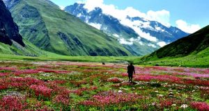 valley of flowers trek1