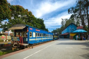 Coonoor Blue Heritage