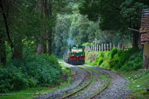 Train on Nilgiri Railway Track